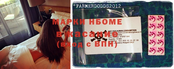 мет Алексин