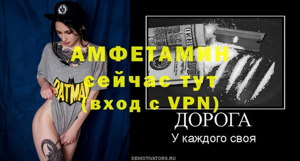 мет Алексин