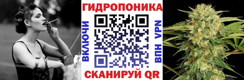 Конопля Bruce Banner Шатура